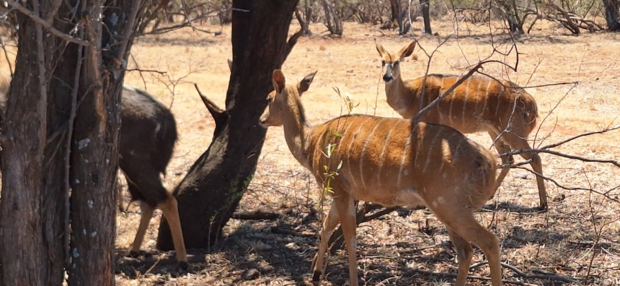 6 Bedroom Property for Sale in Zeerust North West